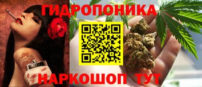 прущие крисы Бузулук