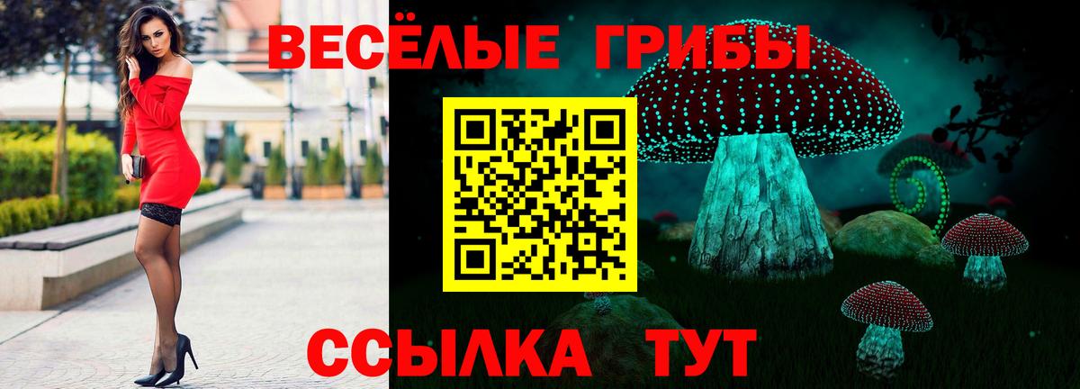 Псилоцибиновые грибы мицелий Кыштым