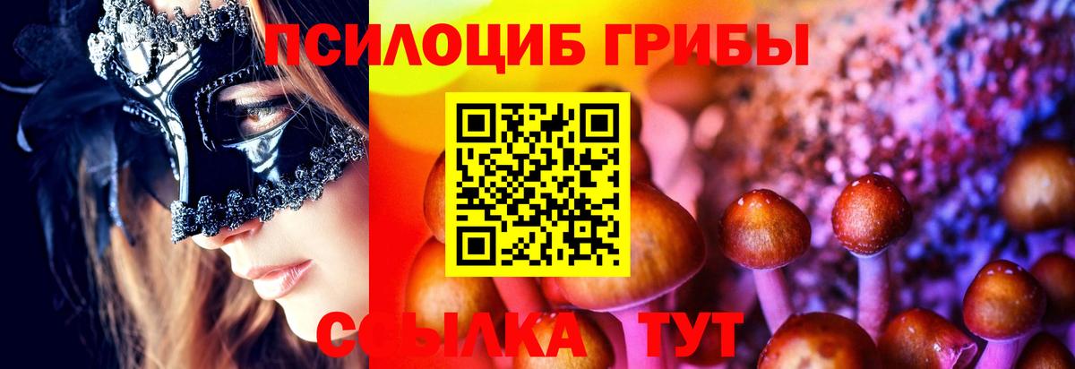 Галлюциногенные грибы Cubensis  Вход с VPN  Кыштым 